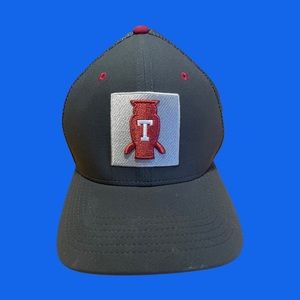 Temple University owls nike hat